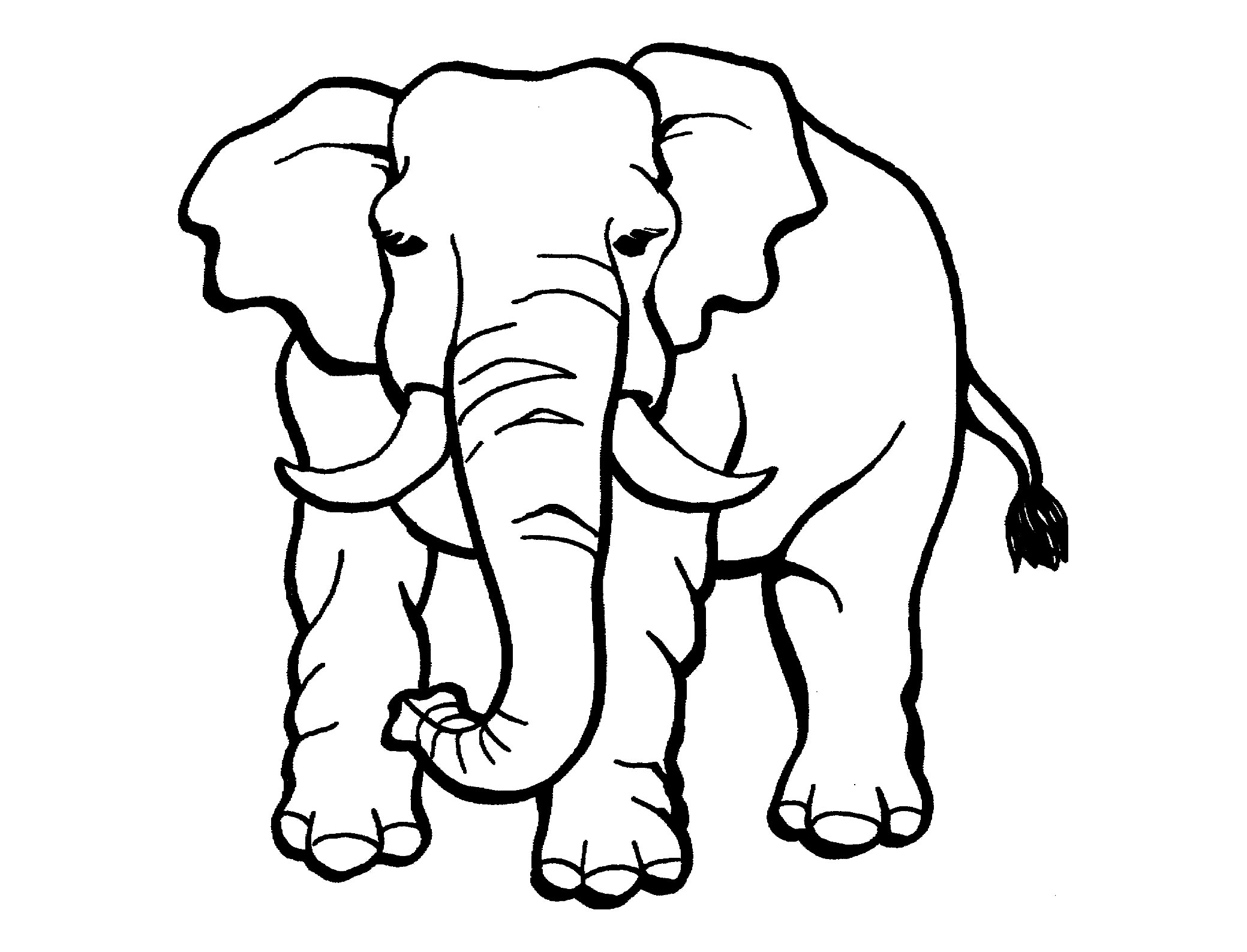 Elephant Printable Coloring Pages Elephant Printable Coloring Pages