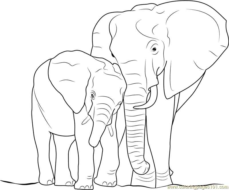 Elephant With Baby Coloring Page Elephant Art Drawing Elephant Elephant With Baby Coloring Page Elephant Art Drawing Elephant