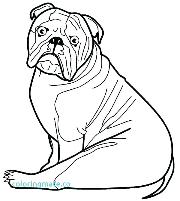 English Bulldog Coloring Pages Printable At GetDrawings Free Download English Bulldog Coloring Pages Printable At GetDrawings Free Download