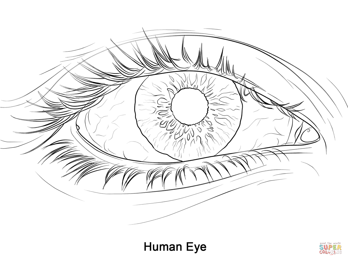 Eye Coloring Pages Printable