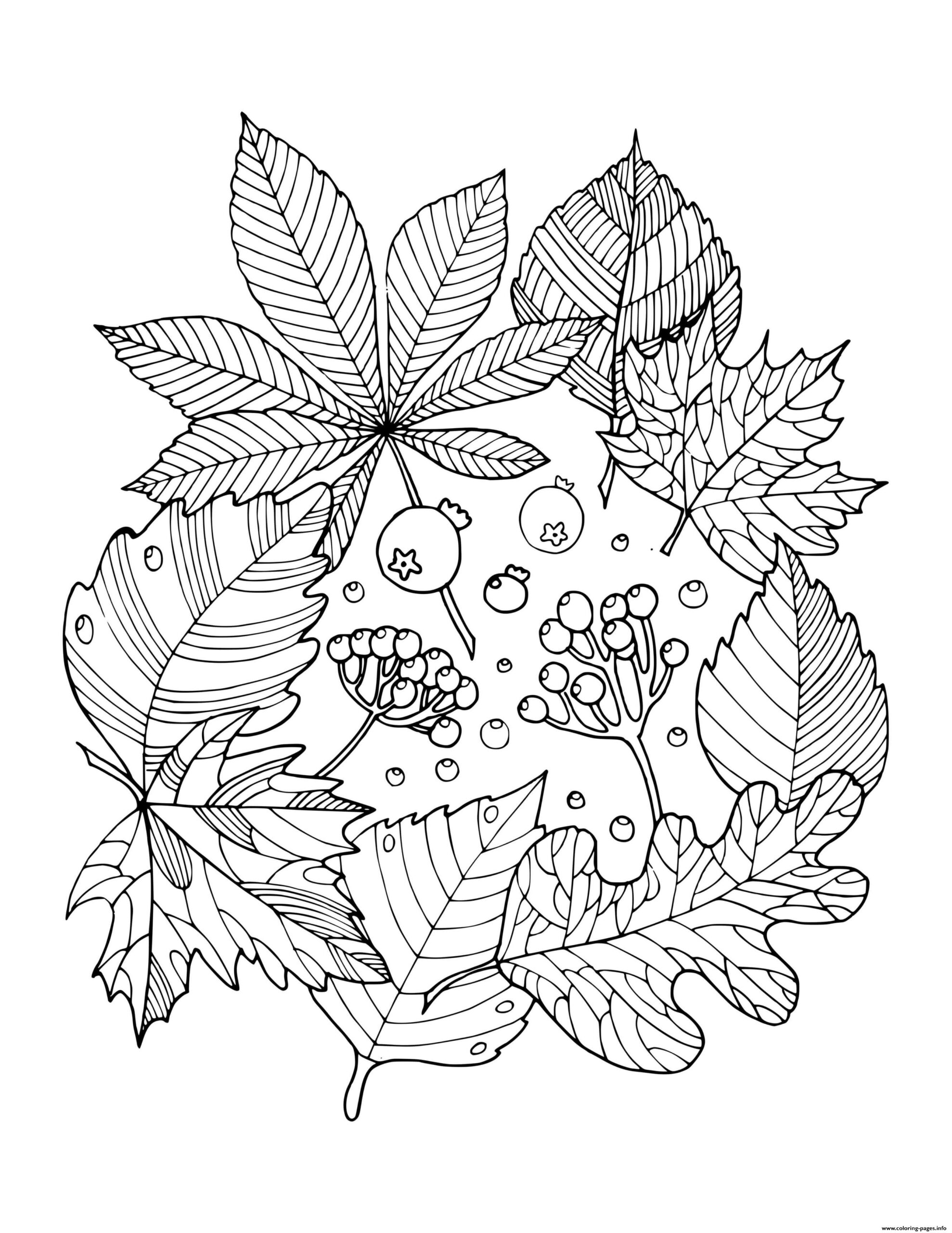Fall Autumn Leaf Arrangement Coloring Page Printable Fall Autumn Leaf Arrangement Coloring Page Printable