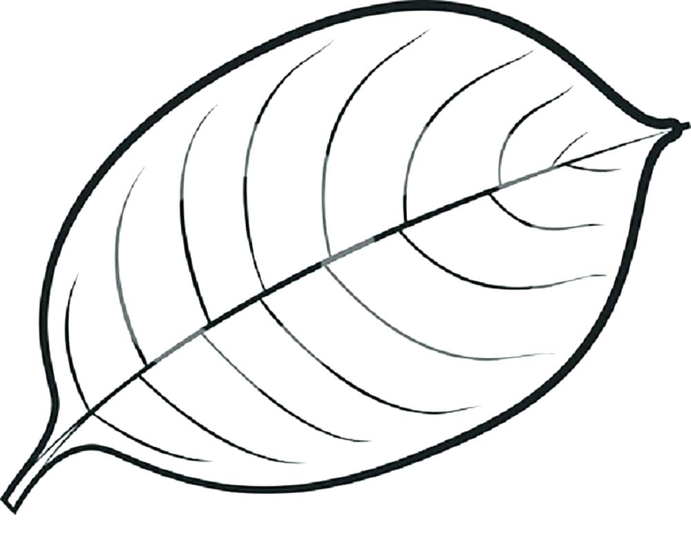 Fall Leaves Coloring Pages Printable At GetColorings Free Fall Leaves Coloring Pages Printable At GetColorings Free