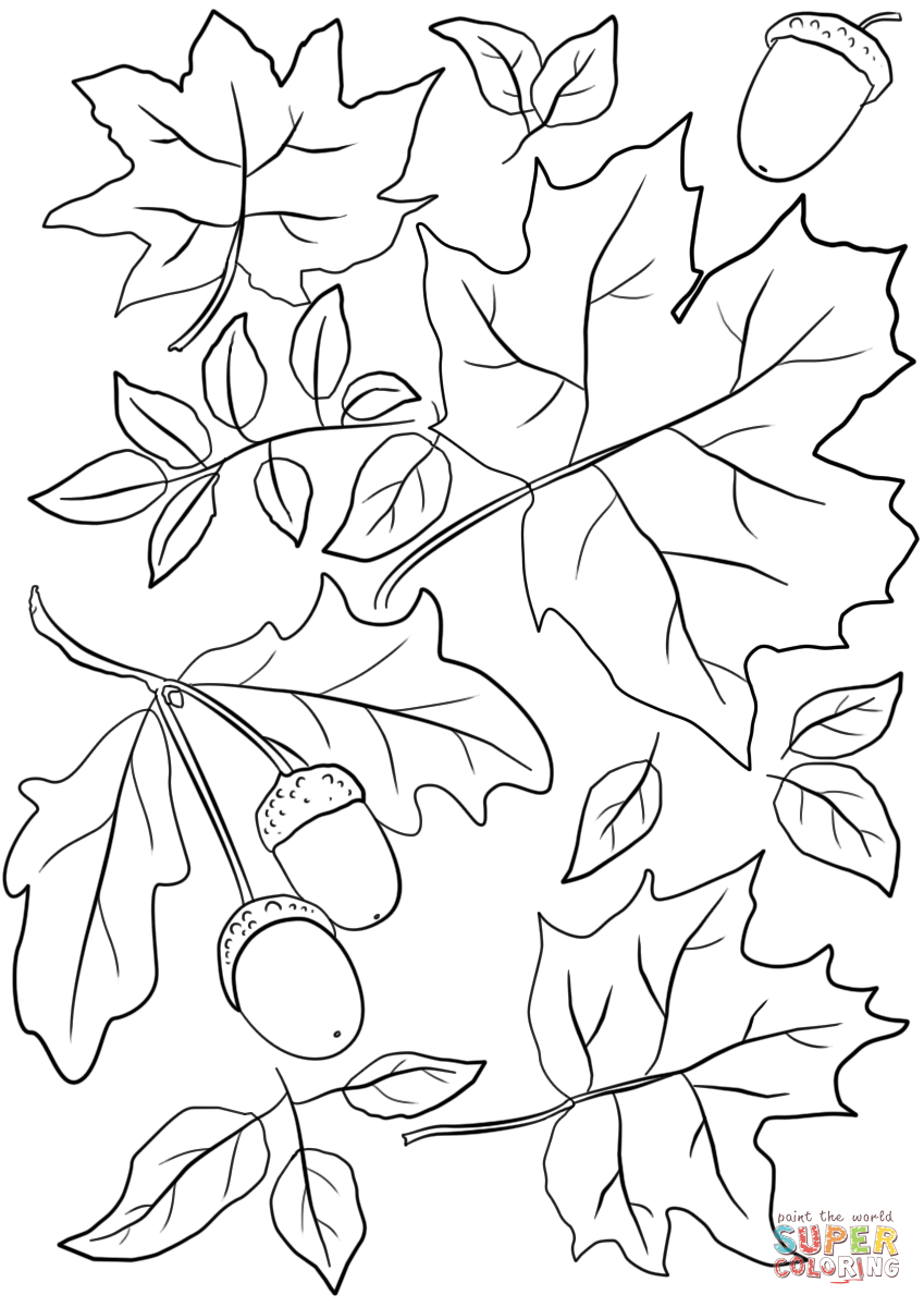 Fall Leaves Coloring Pages Printable Fall Leaves Coloring Pages Printable