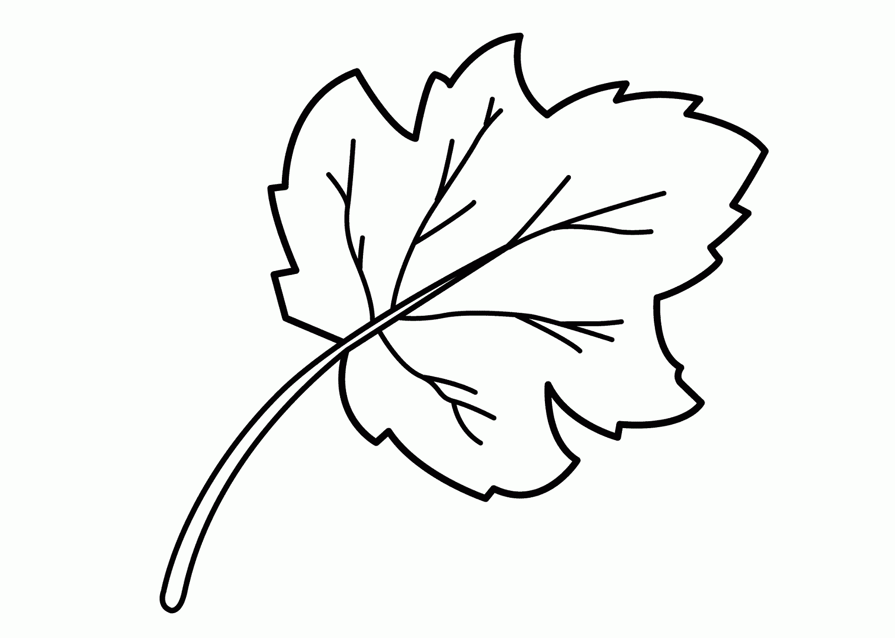 Feuille Blatt Foglio Hoja Blad Kleurplaat Malvorlage Coloriage Feuille Blatt Foglio Hoja Blad Kleurplaat Malvorlage Coloriage