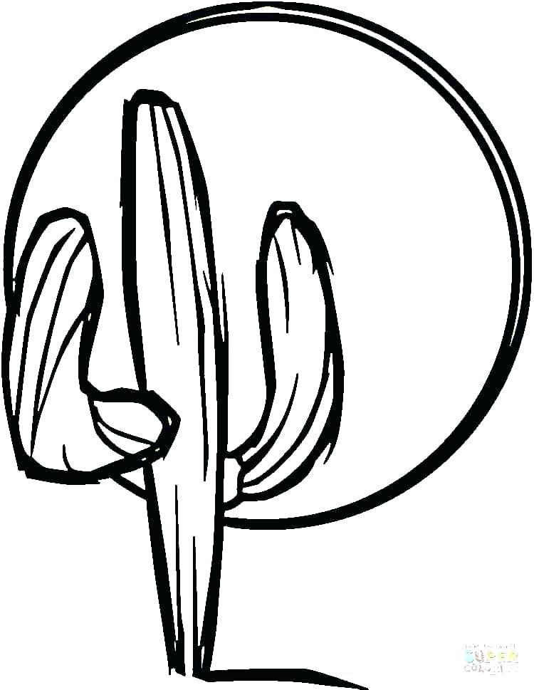 Fiesta Coloring Pages Free Printable At GetColorings Free