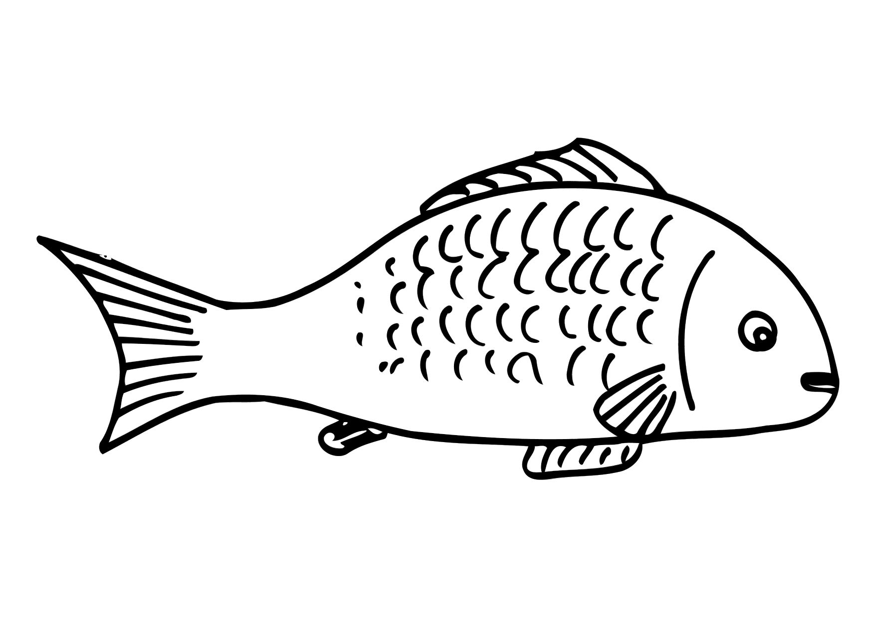 Fish Printable Coloring Pages Fish Printable Coloring Pages