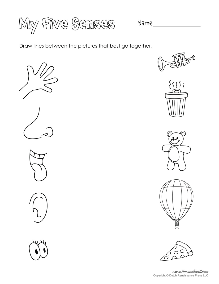 Five Senses Printable Tim S Printables Five Senses Printable Tim S Printables
