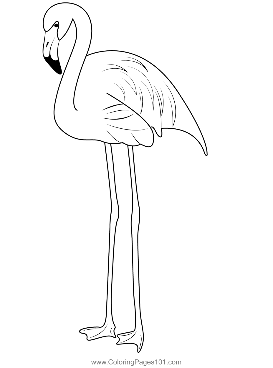 Flamingo Coloring Pages Printable Flamingo Coloring Pages Printable