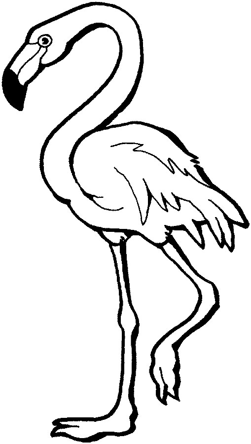 Flamingo Coloring Pages Best Coloring Pages For Kids