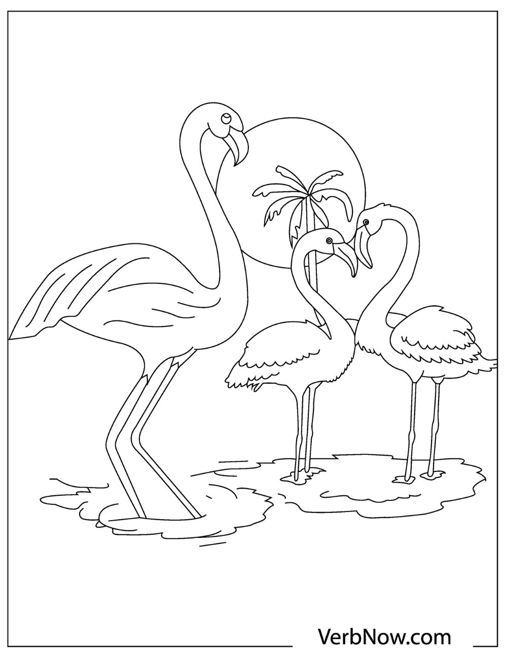 Flamingo Coloring Pages Free Printable