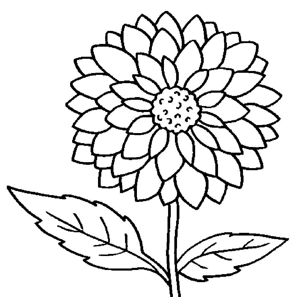 Florist Coloring Pages Learny Kids Florist Coloring Pages Learny Kids