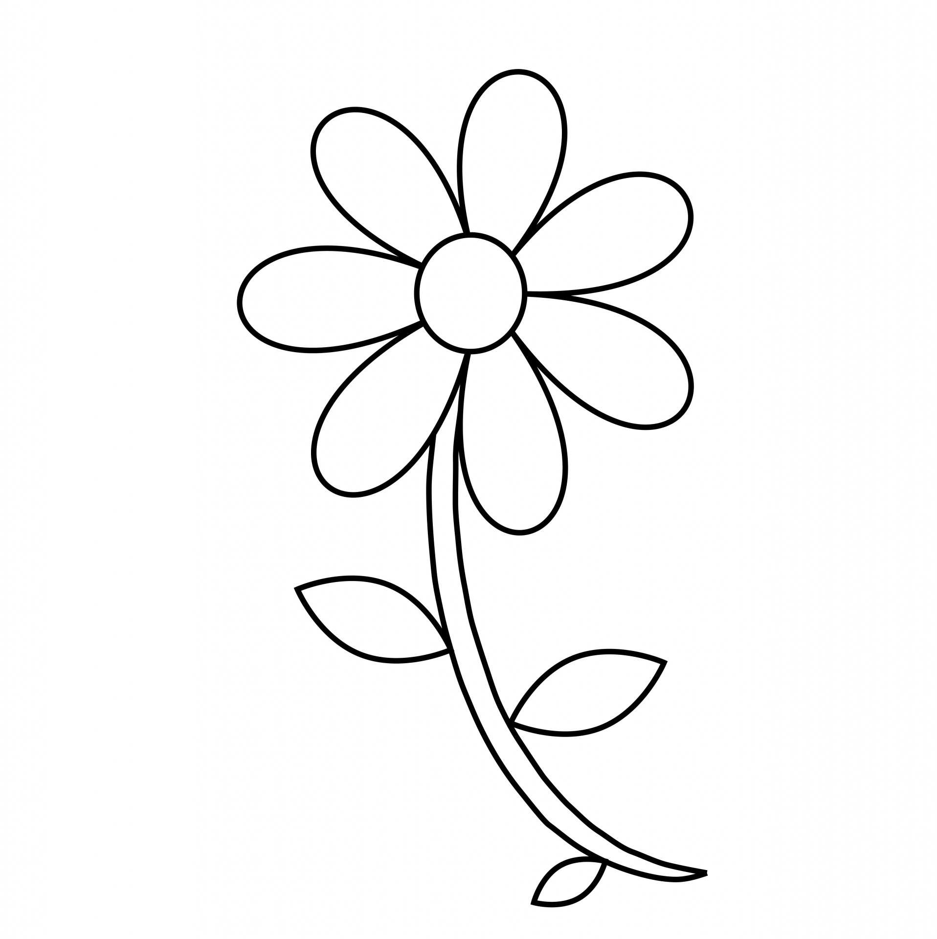 Flower Outline Coloring Page Free Stock Photo Public Domain Pictures Flower Outline Coloring Page Free Stock Photo Public Domain Pictures