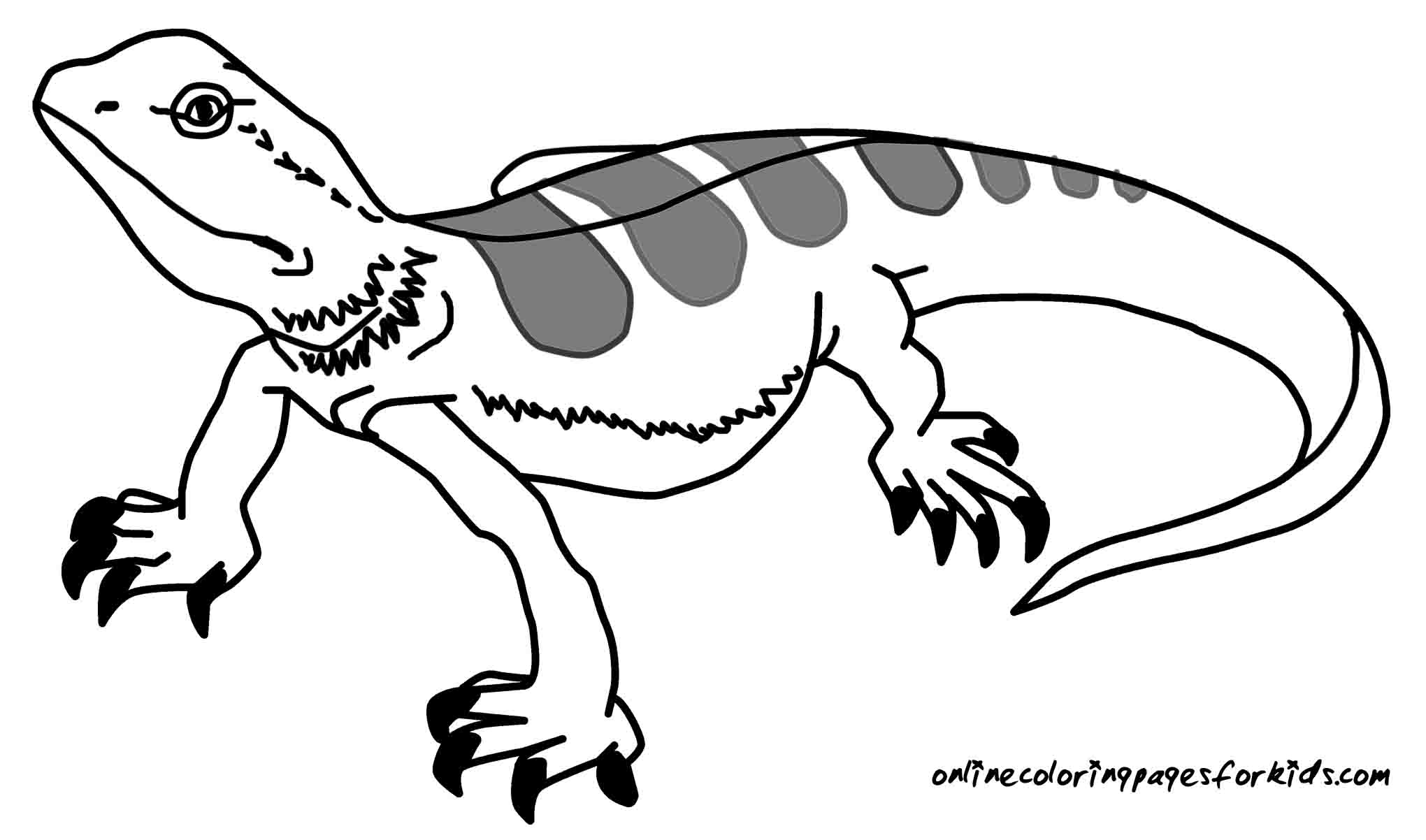 Flying Lizard Coloring Pages Coloring Home Flying Lizard Coloring Pages Coloring Home