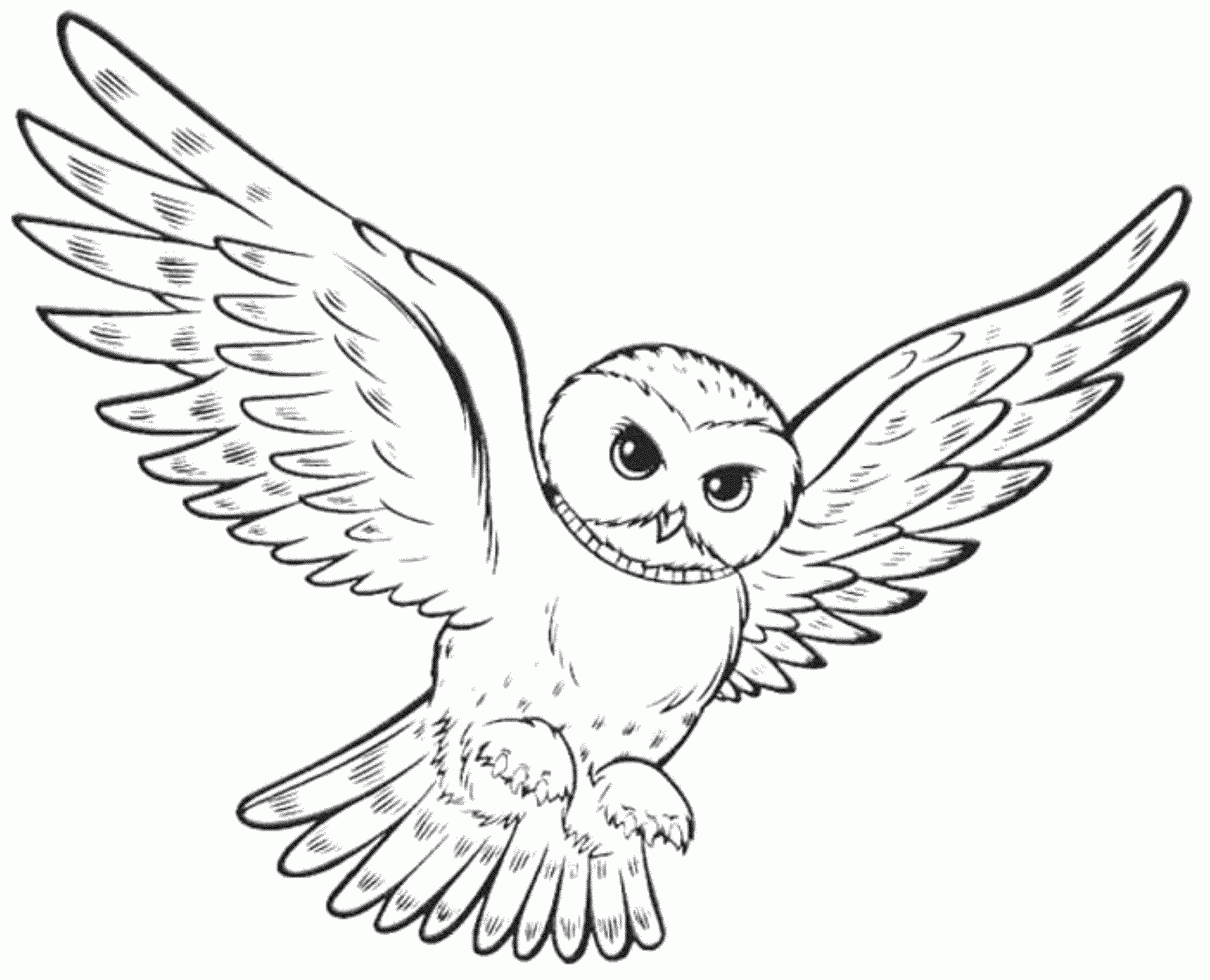 Flying Owl Coloring Pages Printable Kids Colouring Pages Coloring Home Flying Owl Coloring Pages Printable Kids Colouring Pages Coloring Home
