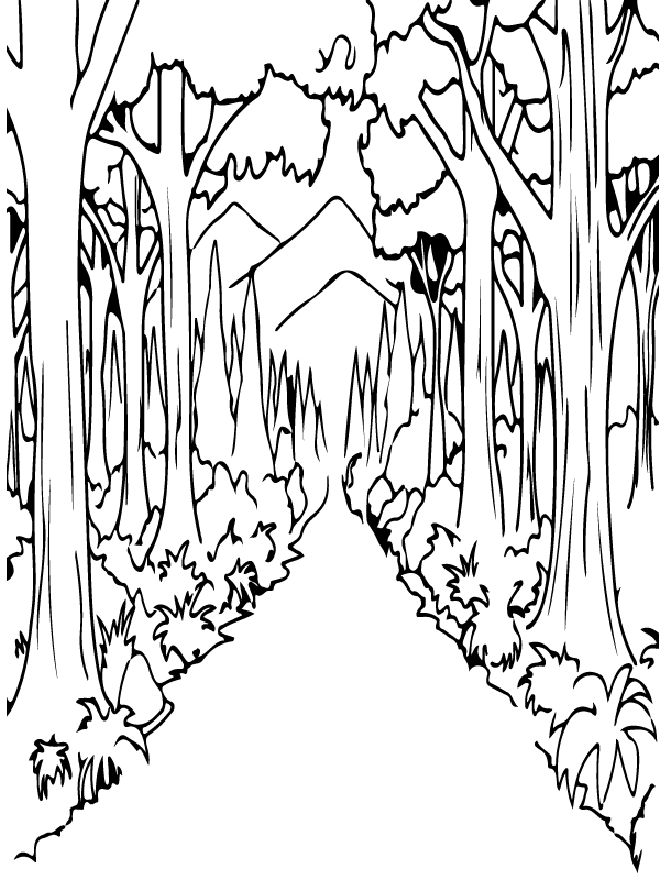 Forest Coloring Pages Free Printable Coloring Pages For Kids Forest Coloring Pages Free Printable Coloring Pages For Kids