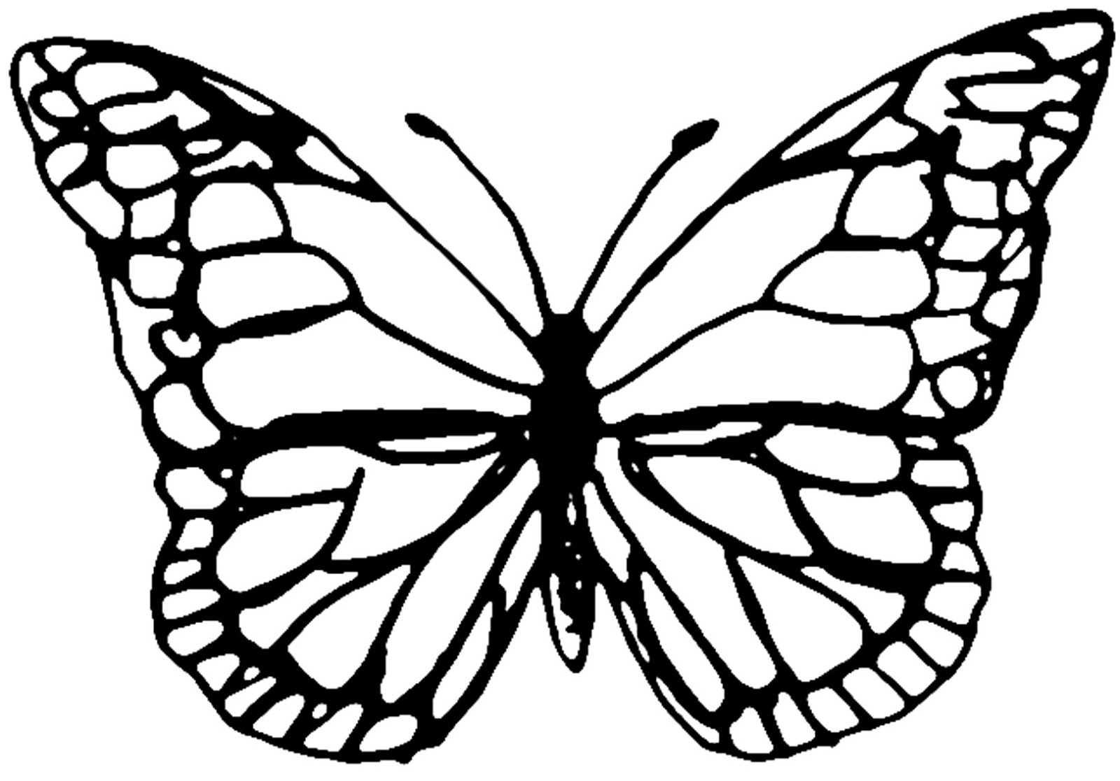 Free Printable Full Size Butterfly Coloring Pages