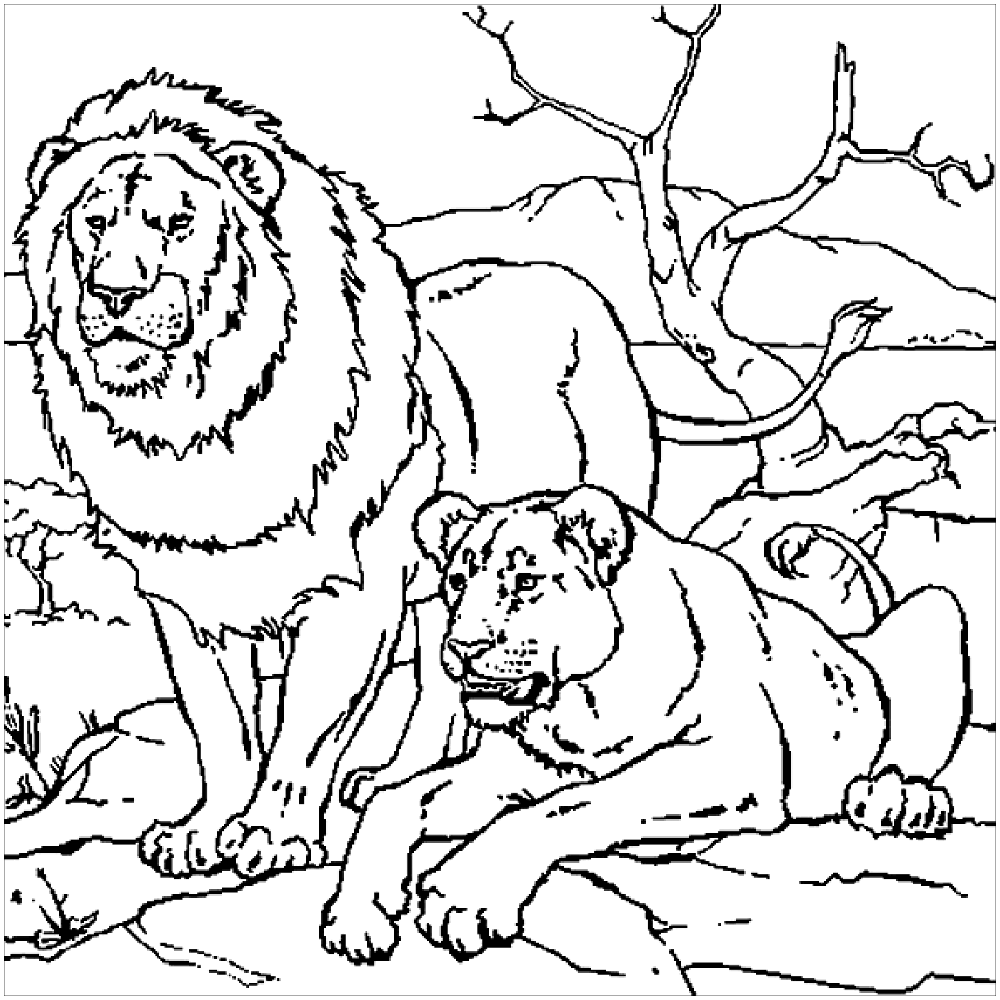 Free Coloring Page Lion Free Printable Lion Coloring Vrogue Co