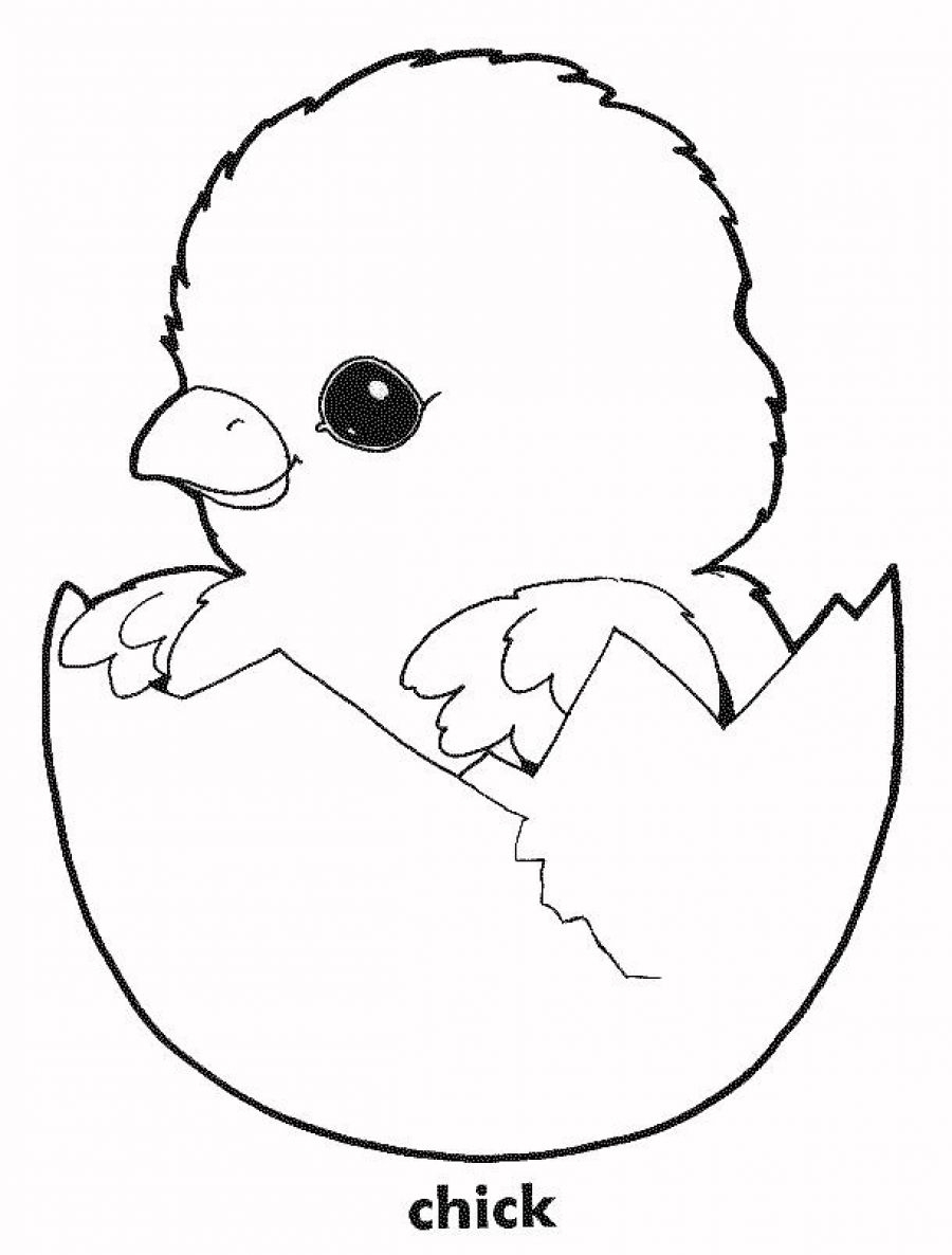 Free Coloring Pages For Chickens Download Free Coloring Pages For Free Coloring Pages For Chickens Download Free Coloring Pages For