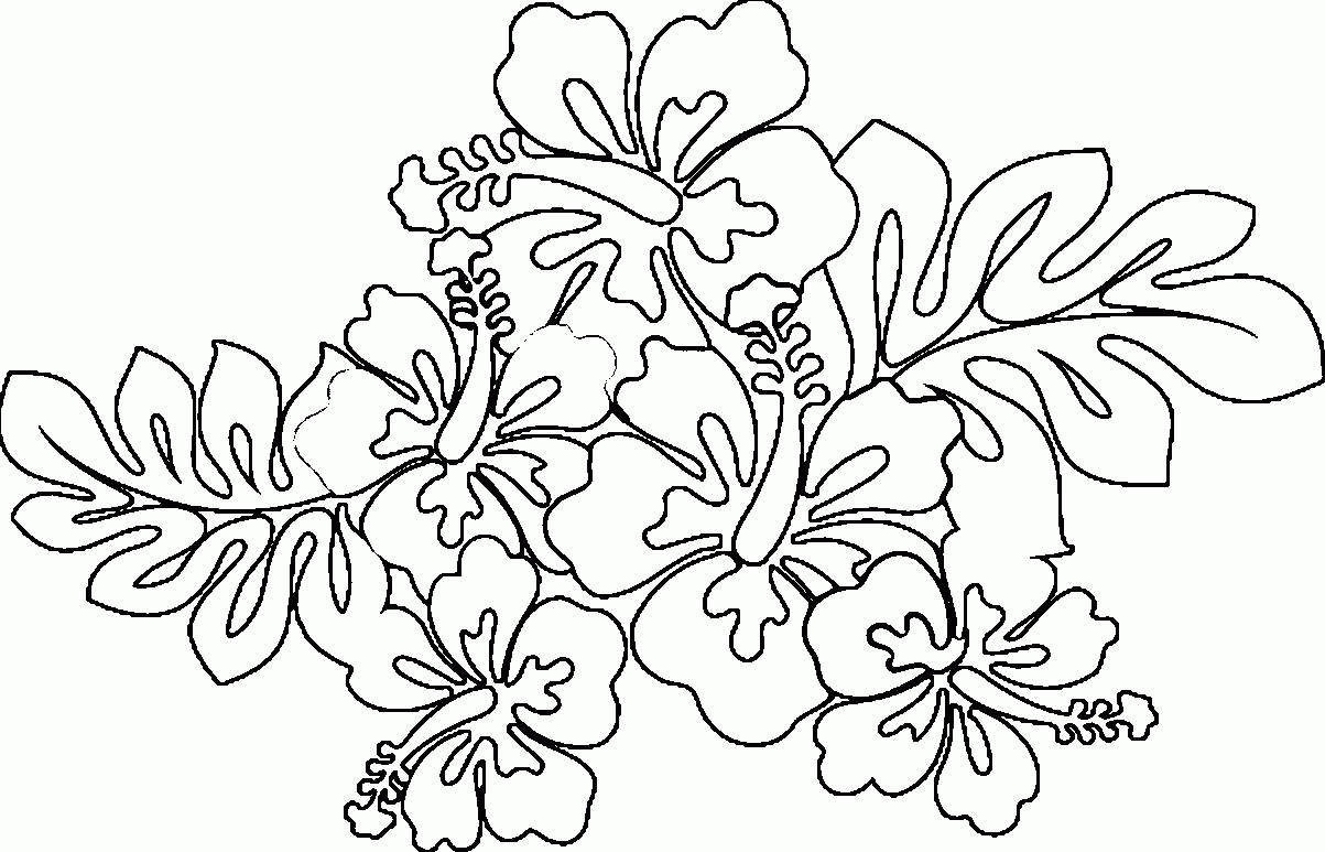 Free Coloring Pages Of Hawaiian Flowers Download Free Coloring Pages Free Coloring Pages Of Hawaiian Flowers Download Free Coloring Pages