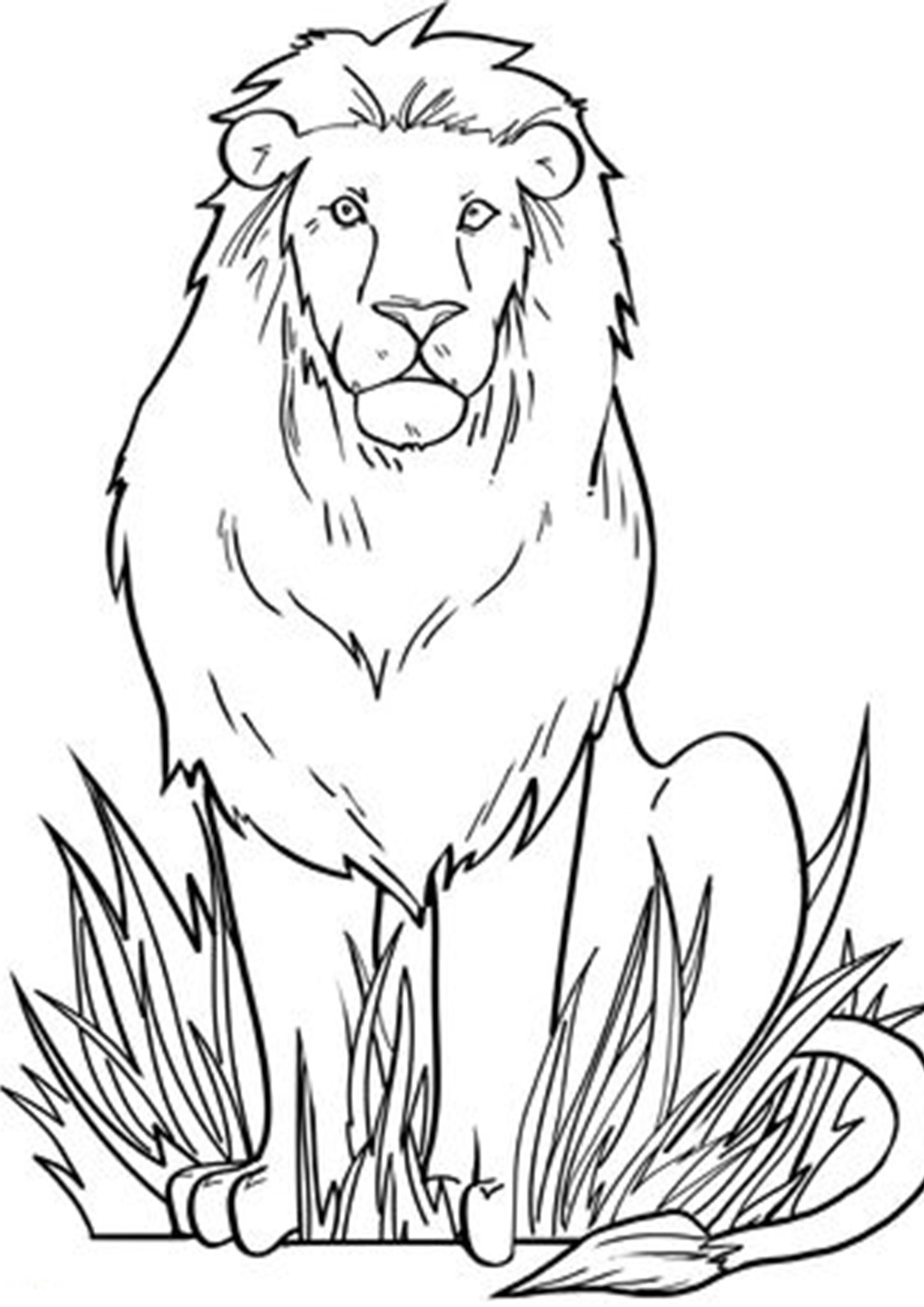 Free Easy To Print Lion Coloring Pages Lion Coloring Pages Zoo