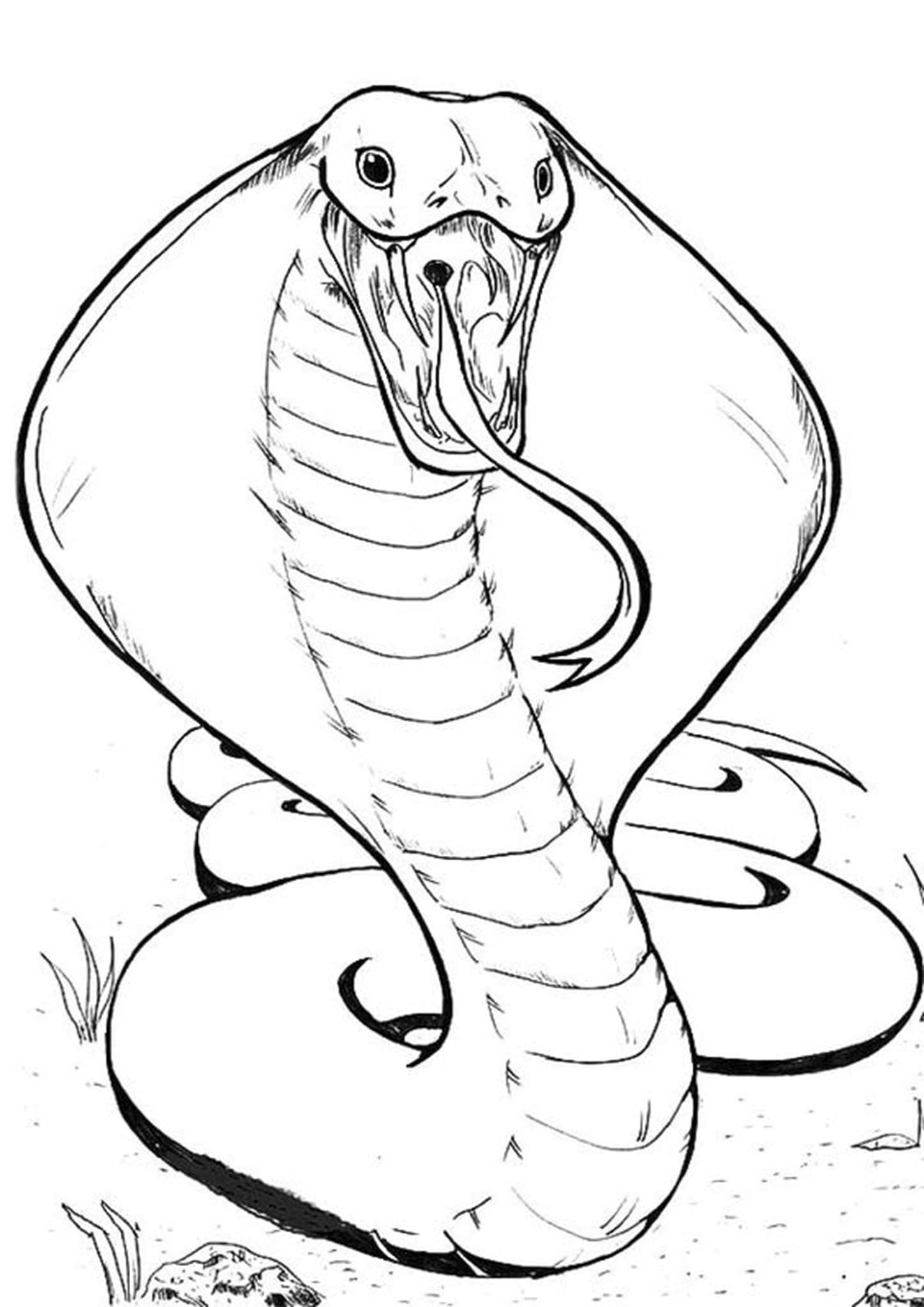 Free Easy To Print Snake Coloring Pages Snake Coloring Pages Snake Free Easy To Print Snake Coloring Pages Snake Coloring Pages Snake