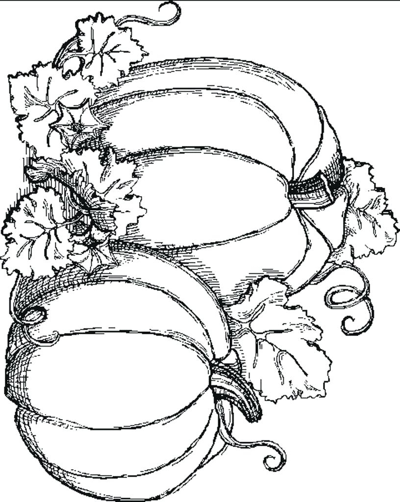 Free Fall Coloring Pages For Adults At GetColorings Free Free Fall Coloring Pages For Adults At GetColorings Free