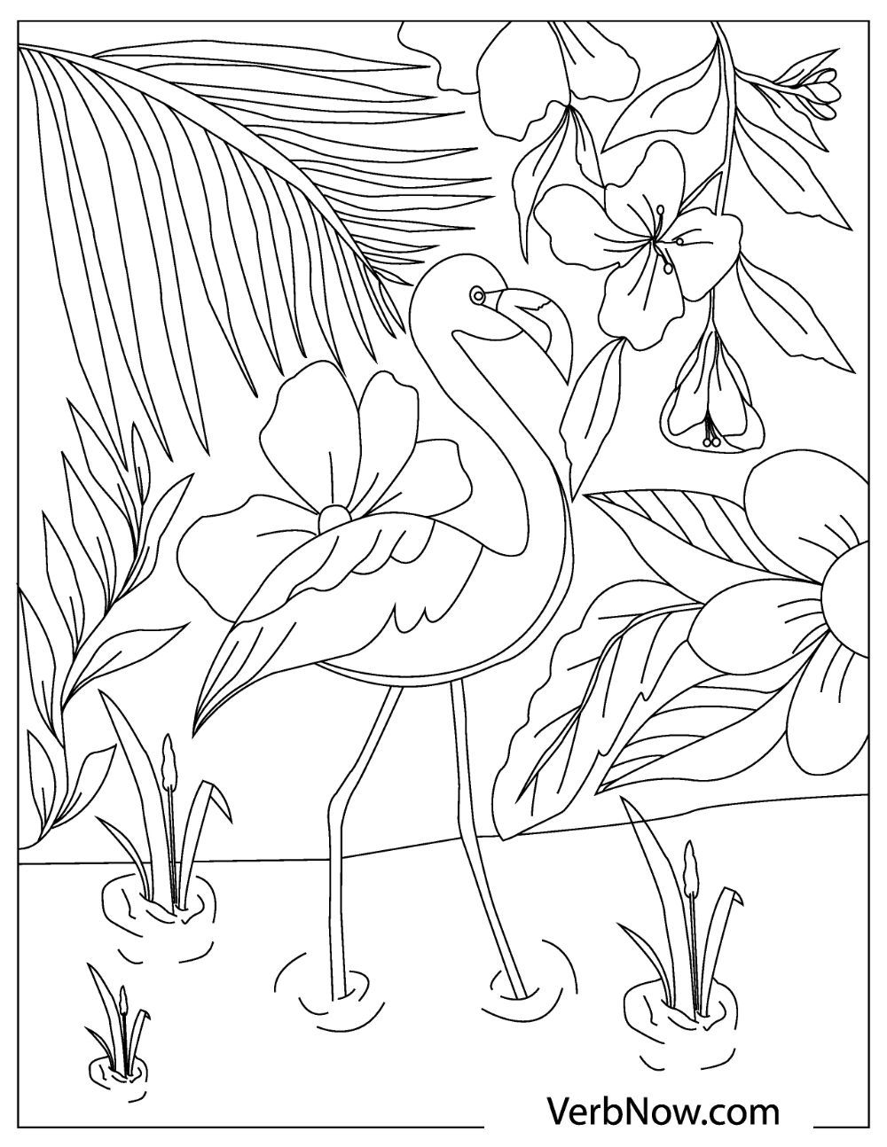Free Flamingo Coloring Pages For Download Printable P Vrogue Co