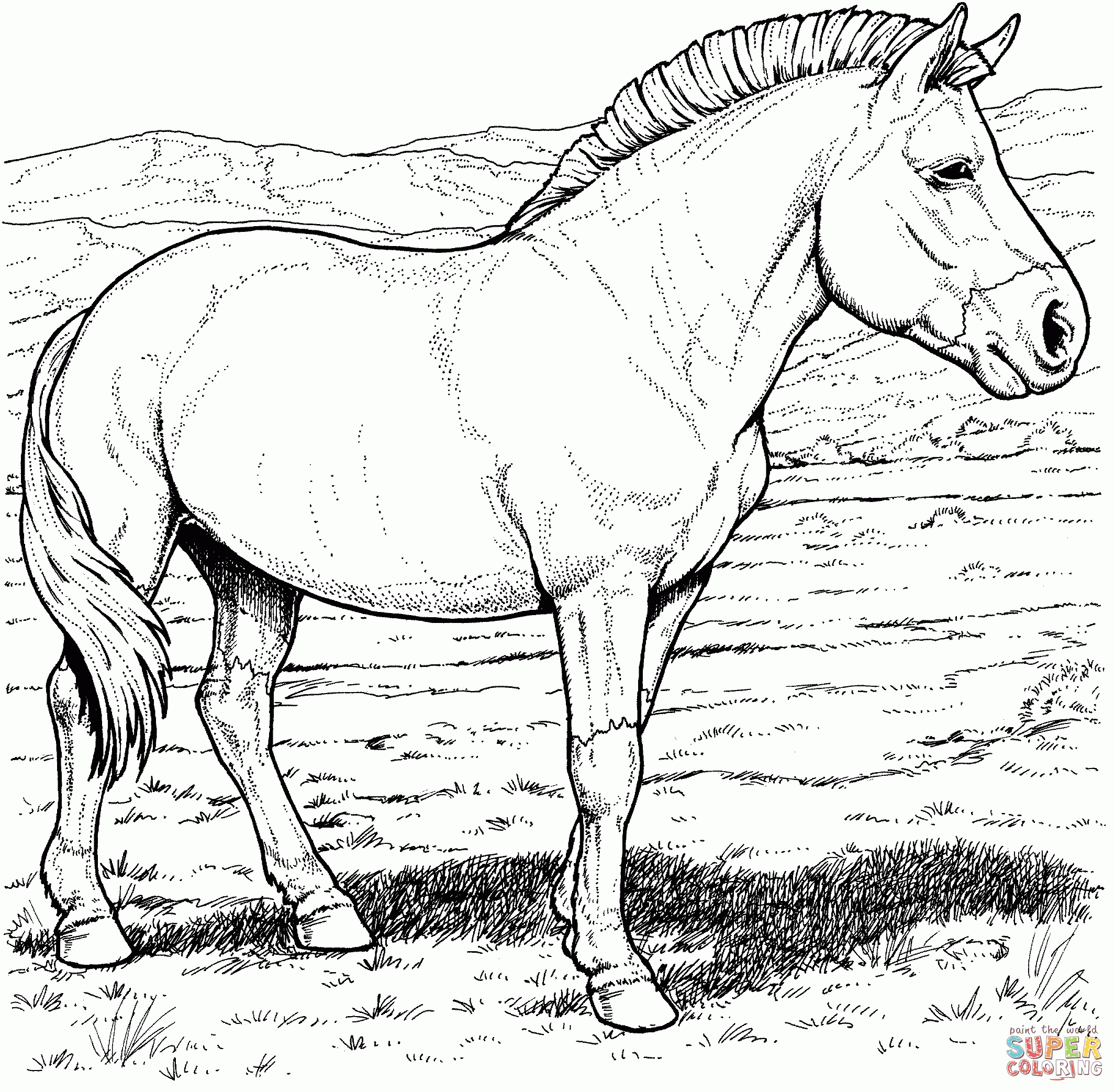 Free Free Printable Realistic Horse Coloring Pages Download Free Free Free Free Printable Realistic Horse Coloring Pages Download Free Free