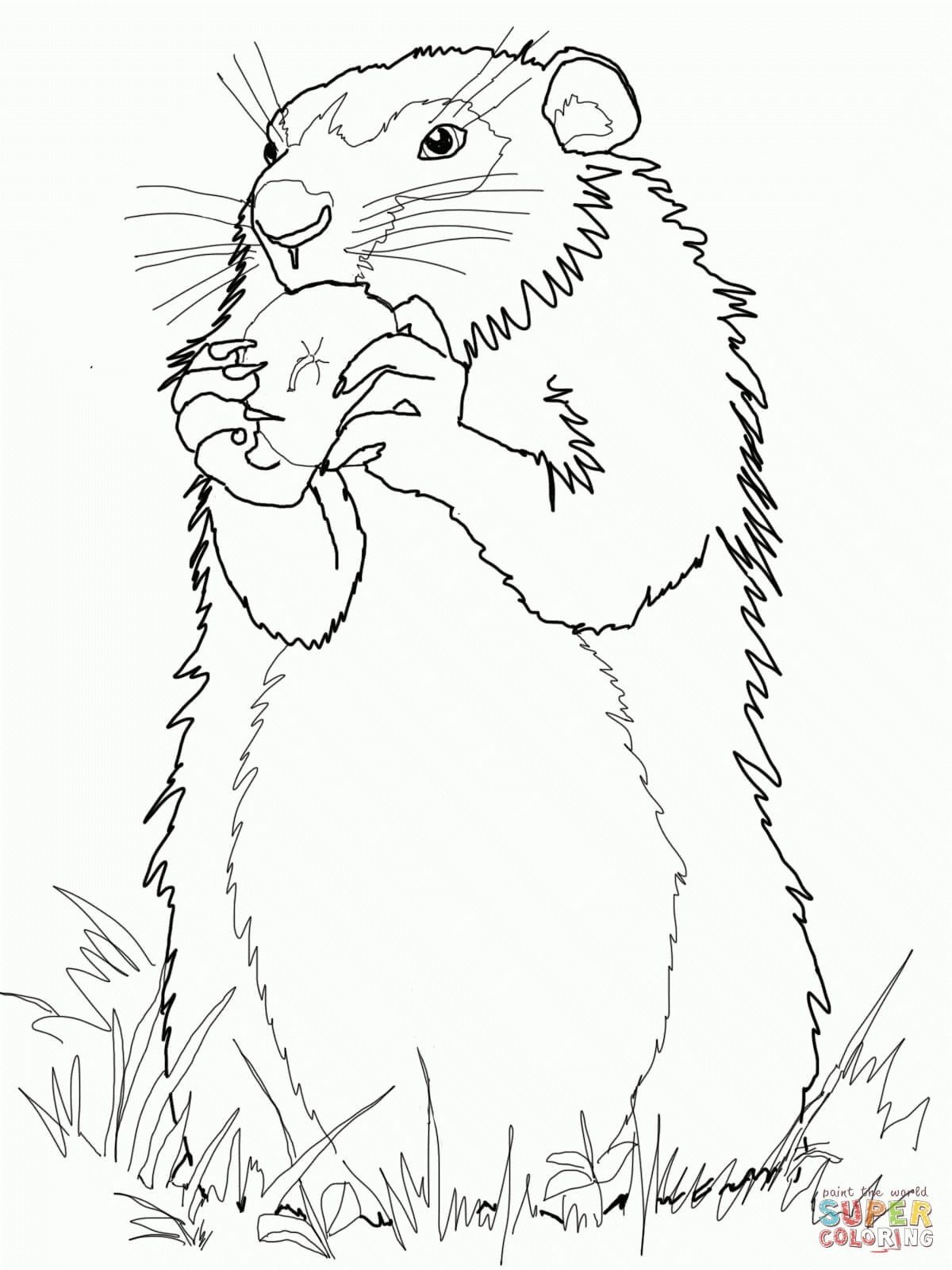 Free Groundhog Day Coloring Pages Free Printable Download Free Free Groundhog Day Coloring Pages Free Printable Download Free
