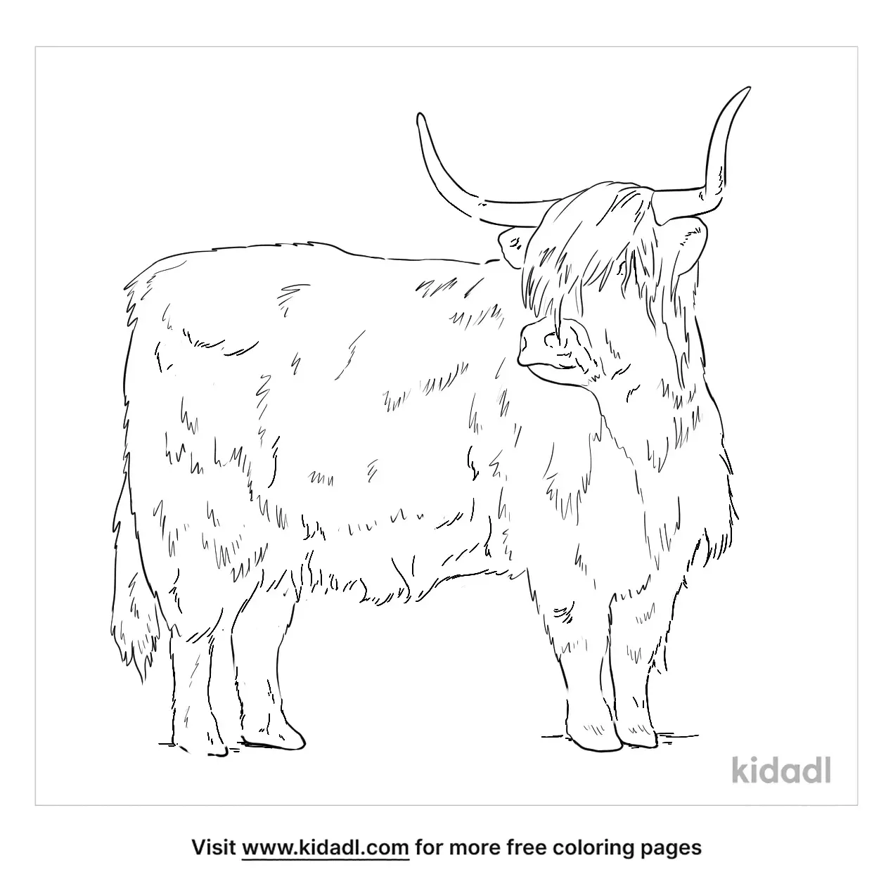 FREE Highland Cow Colouring Sheet Colouring Pages 50 OFF FREE Highland Cow Colouring Sheet Colouring Pages 50 OFF