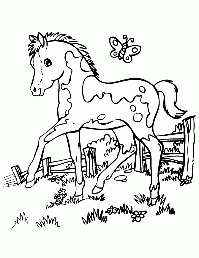 Horse Coloring Pages Printable Horse Coloring Pages Printable