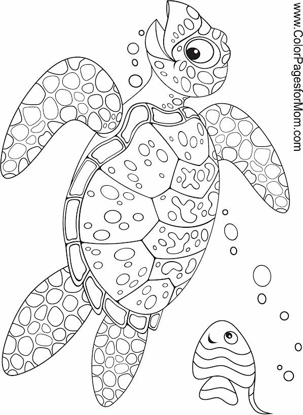 Free Printable Ocean Coloring Pages For Adults