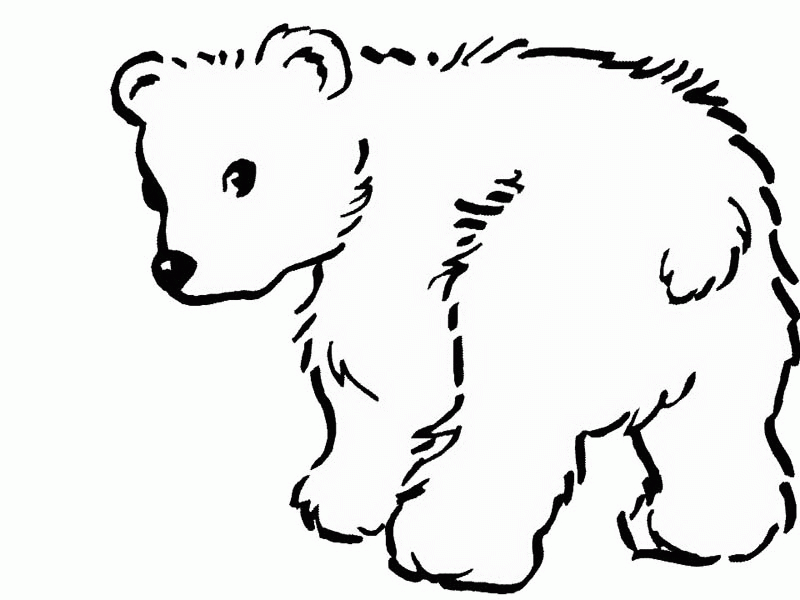 Free Polar Bear Coloring Pages Printable Download Free Polar Bear Free Polar Bear Coloring Pages Printable Download Free Polar Bear