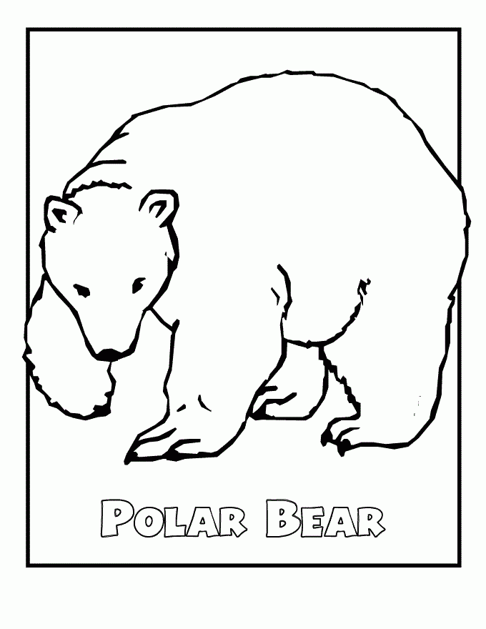 Free Polar Bear Coloring Sheets Download Free Polar Bear Coloring Free Polar Bear Coloring Sheets Download Free Polar Bear Coloring