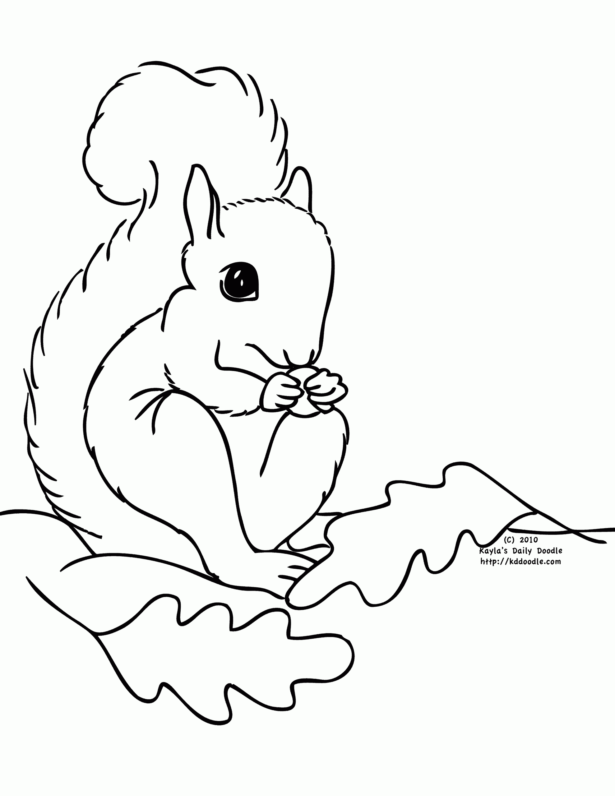Free Preschool Squirrel Coloring Page Download Free Preschool Squirrel
