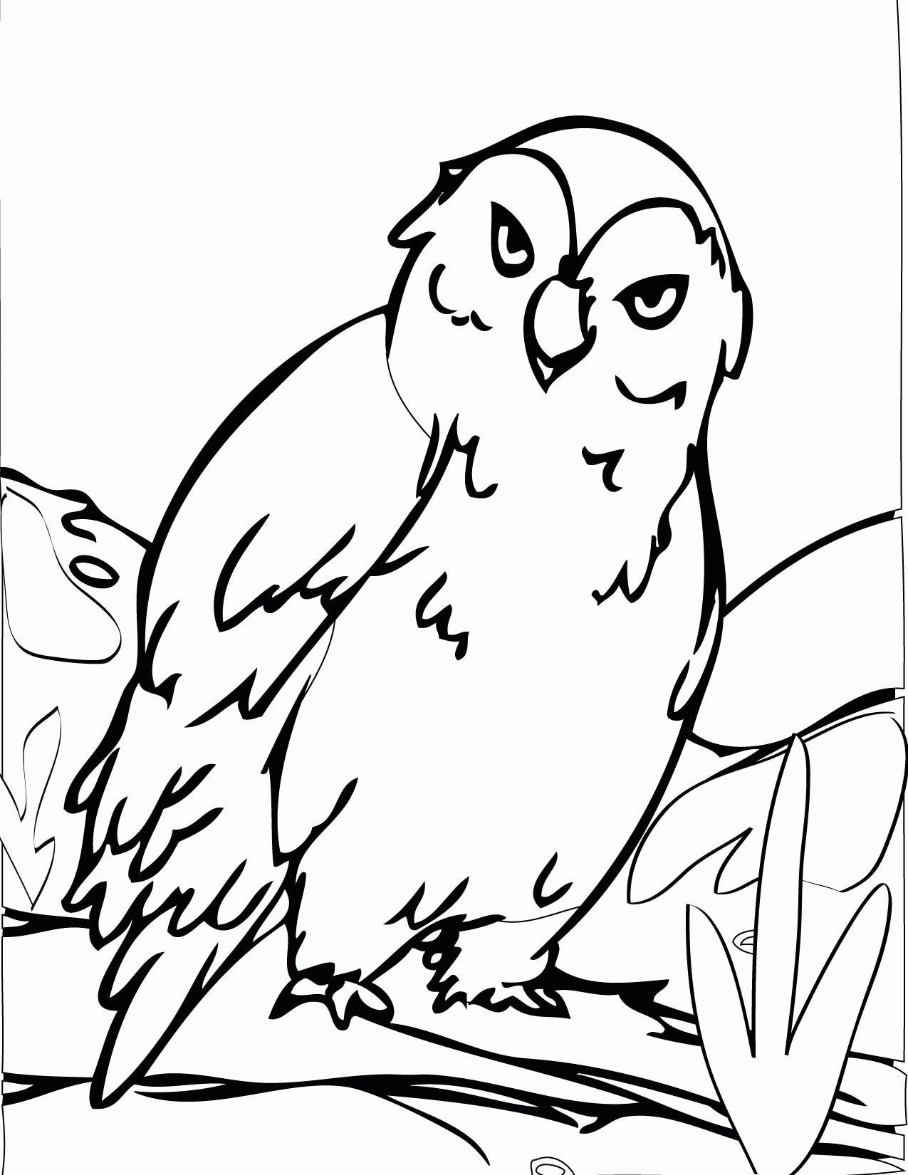 Free Printable Arctic Animals Coloring Pages Coloring Home Free Printable Arctic Animals Coloring Pages Coloring Home