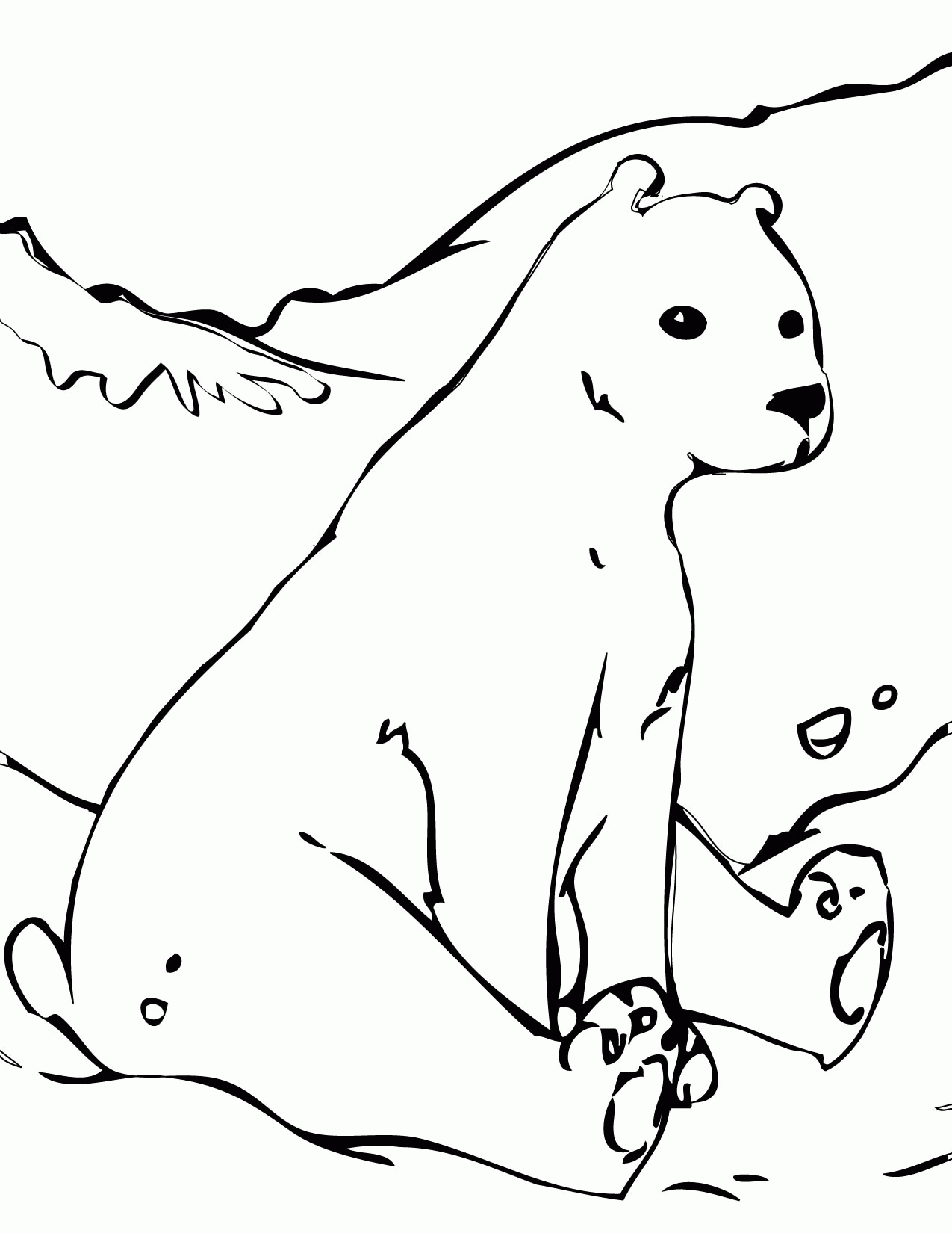 Free Printable Arctic Animals Coloring Pages Coloring Home Free Printable Arctic Animals Coloring Pages Coloring Home