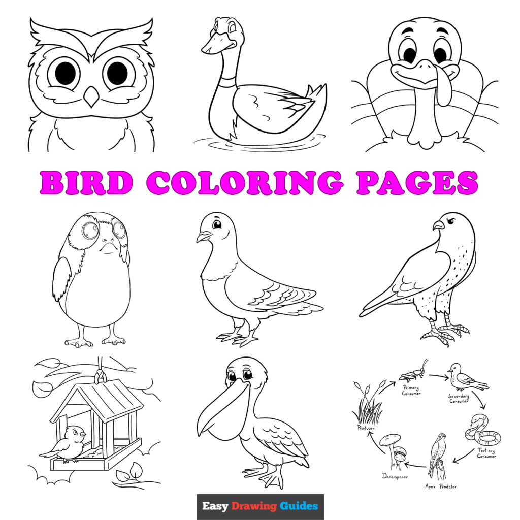 Free Printable Bird Coloring Pages For Kids Free Printable Bird Coloring Pages For Kids