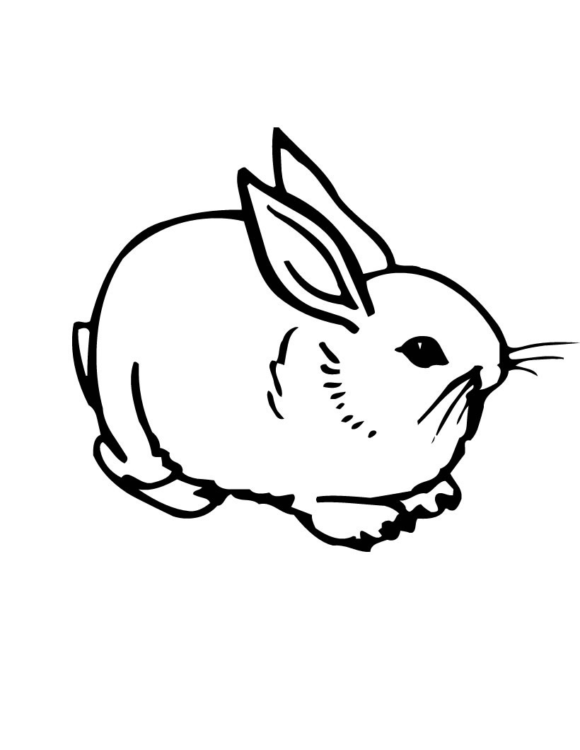 Free Printable Bunny Pictures Free Printable
