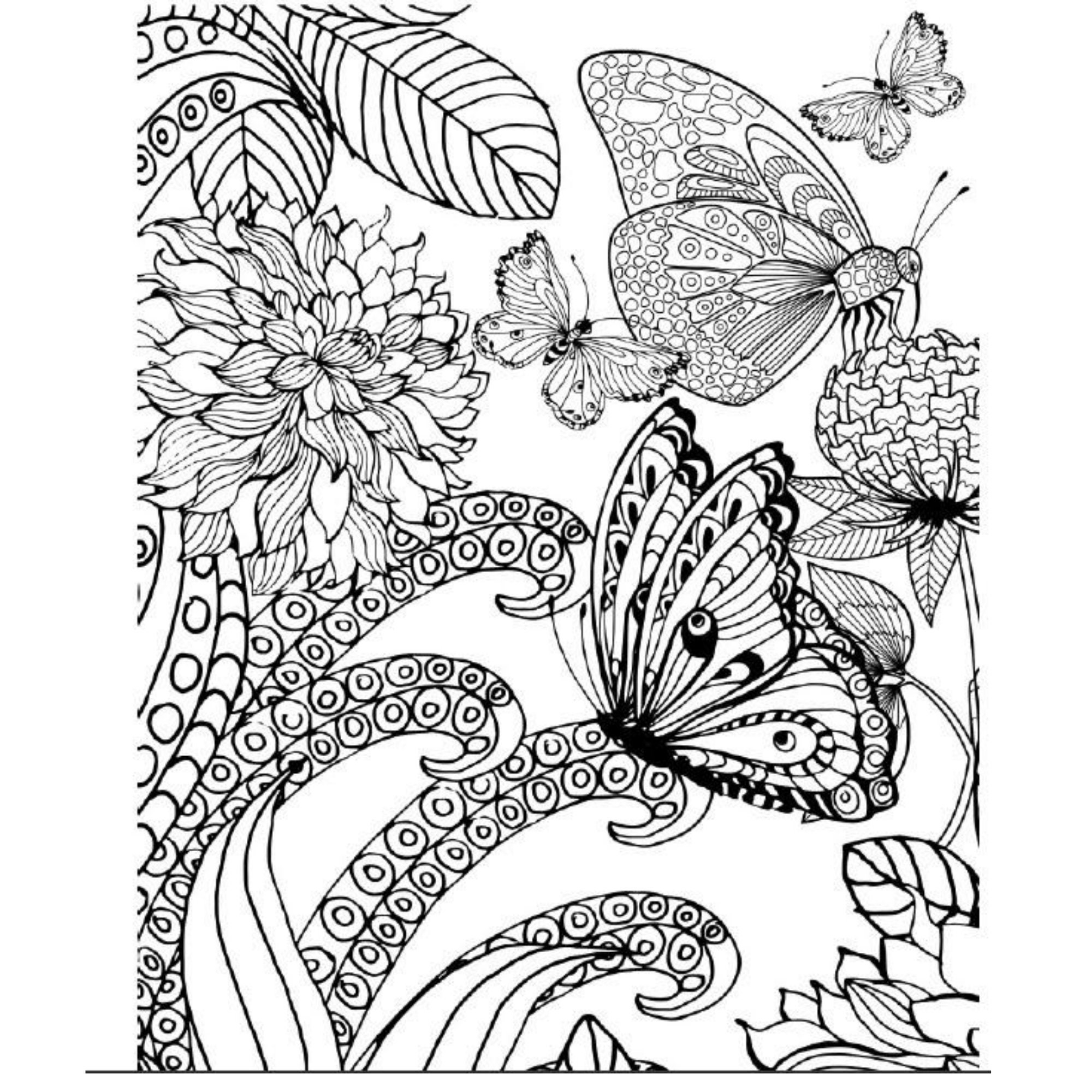 Free Printable Butterfly Coloring Pages For Adults Free Printable Butterfly Coloring Pages For Adults