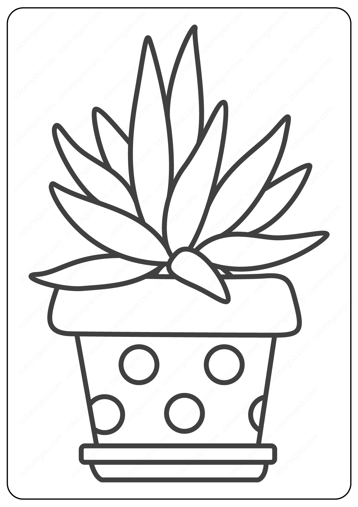 Cactus Coloring Pages Printable Cactus Coloring Pages Printable
