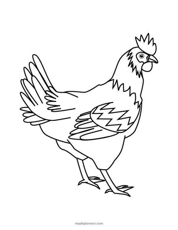 Free Printable Chicken Coloring Pages Free Printable Chicken Coloring Pages