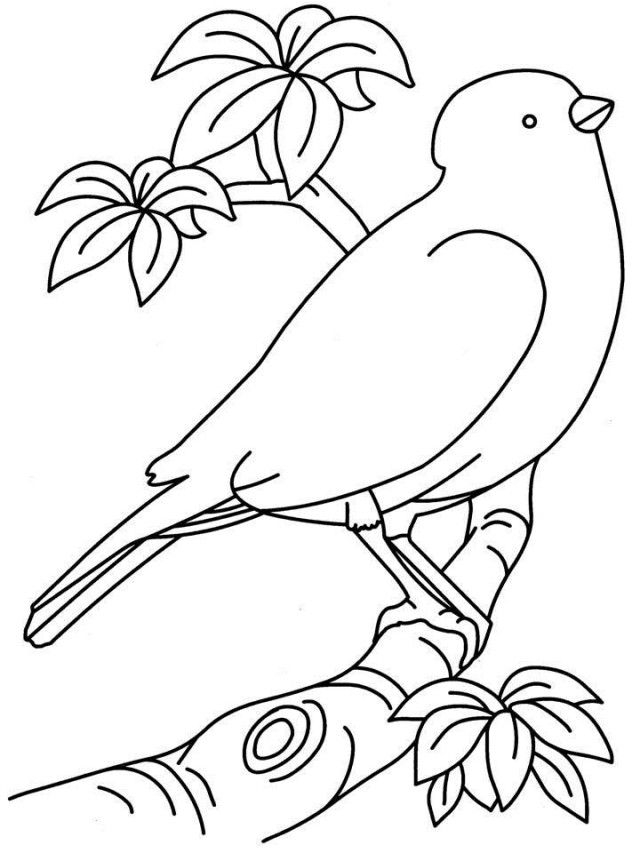 Free Printable Coloring Pages Birds Download Free Printable Coloring Free Printable Coloring Pages Birds Download Free Printable Coloring
