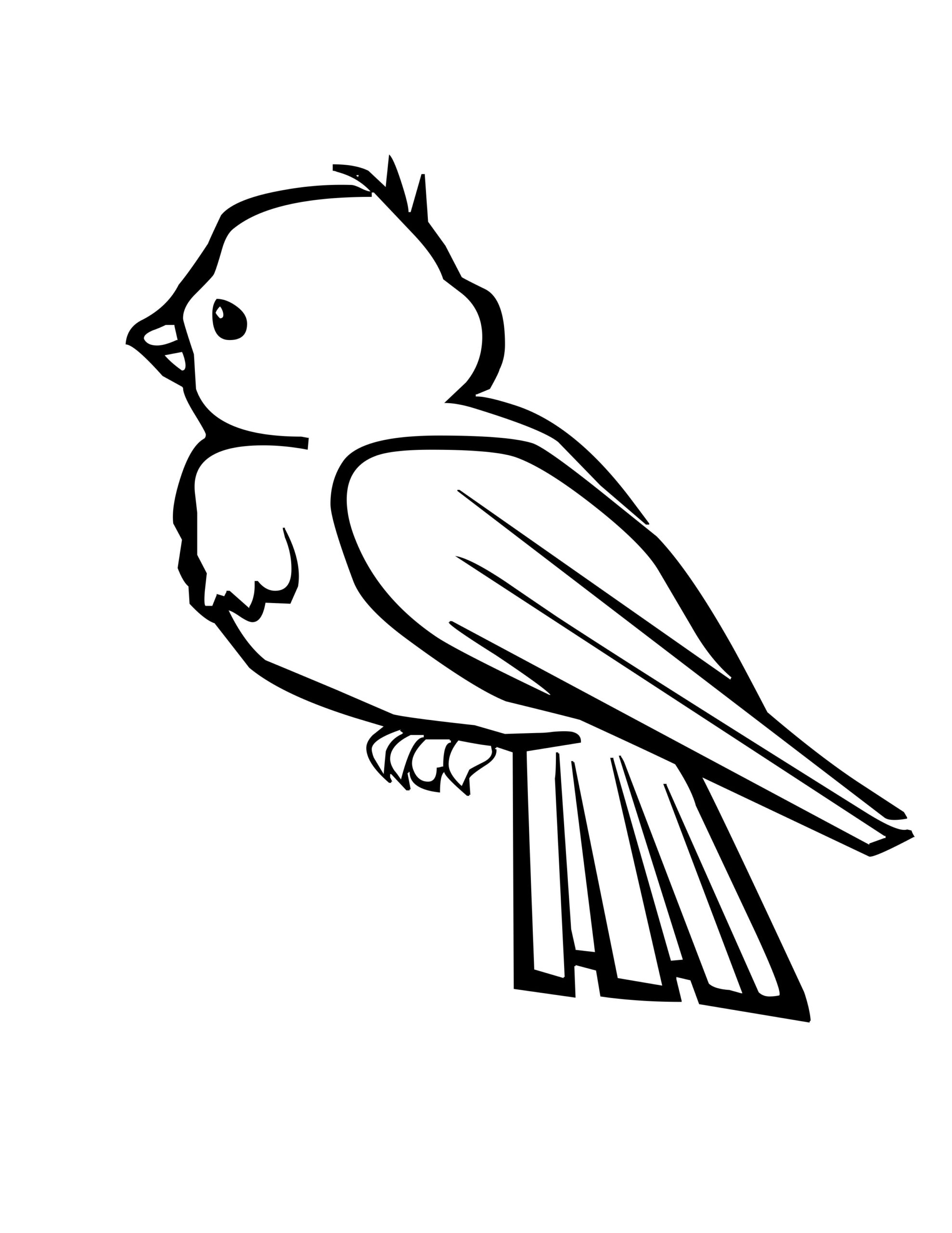 Printable Bird Coloring Pages