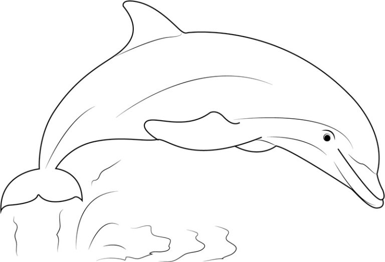 Free Printable Coloring Pages Dolphins Coloring Book Free Printable Coloring Pages Dolphins Coloring Book