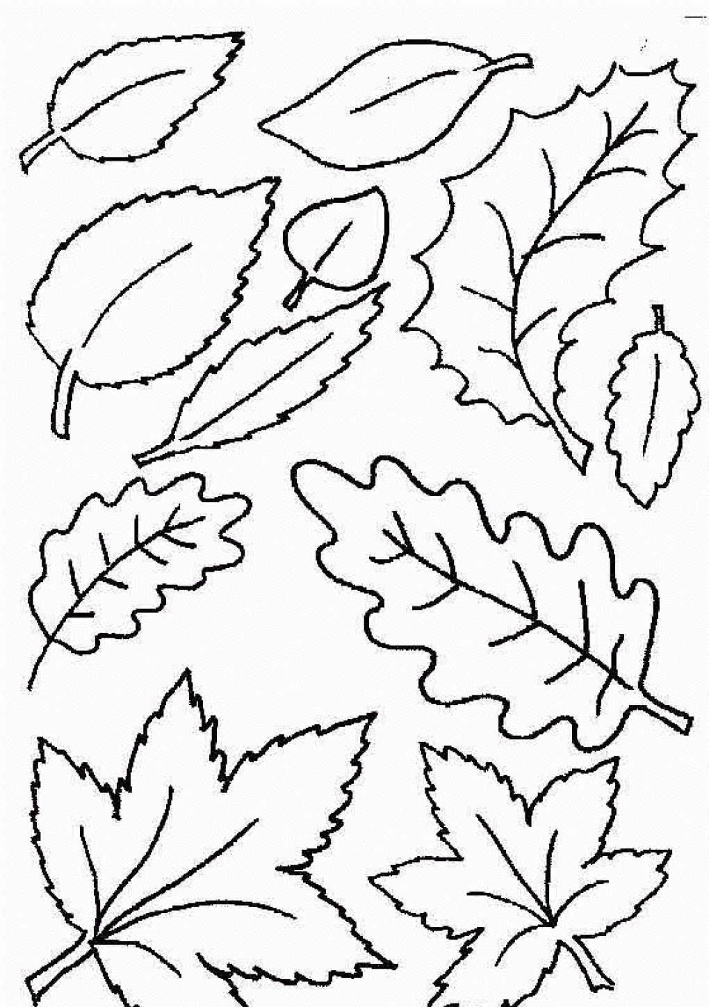 Free Printable Coloring Pages Fall Leaves Free Printable Coloring Pages Fall Leaves