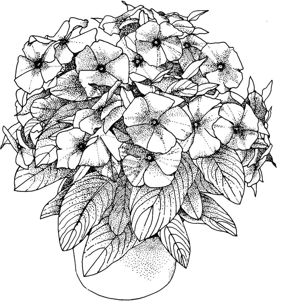 Free Printable Coloring Pages For Victorious Coloring Home Free Printable Coloring Pages For Victorious Coloring Home