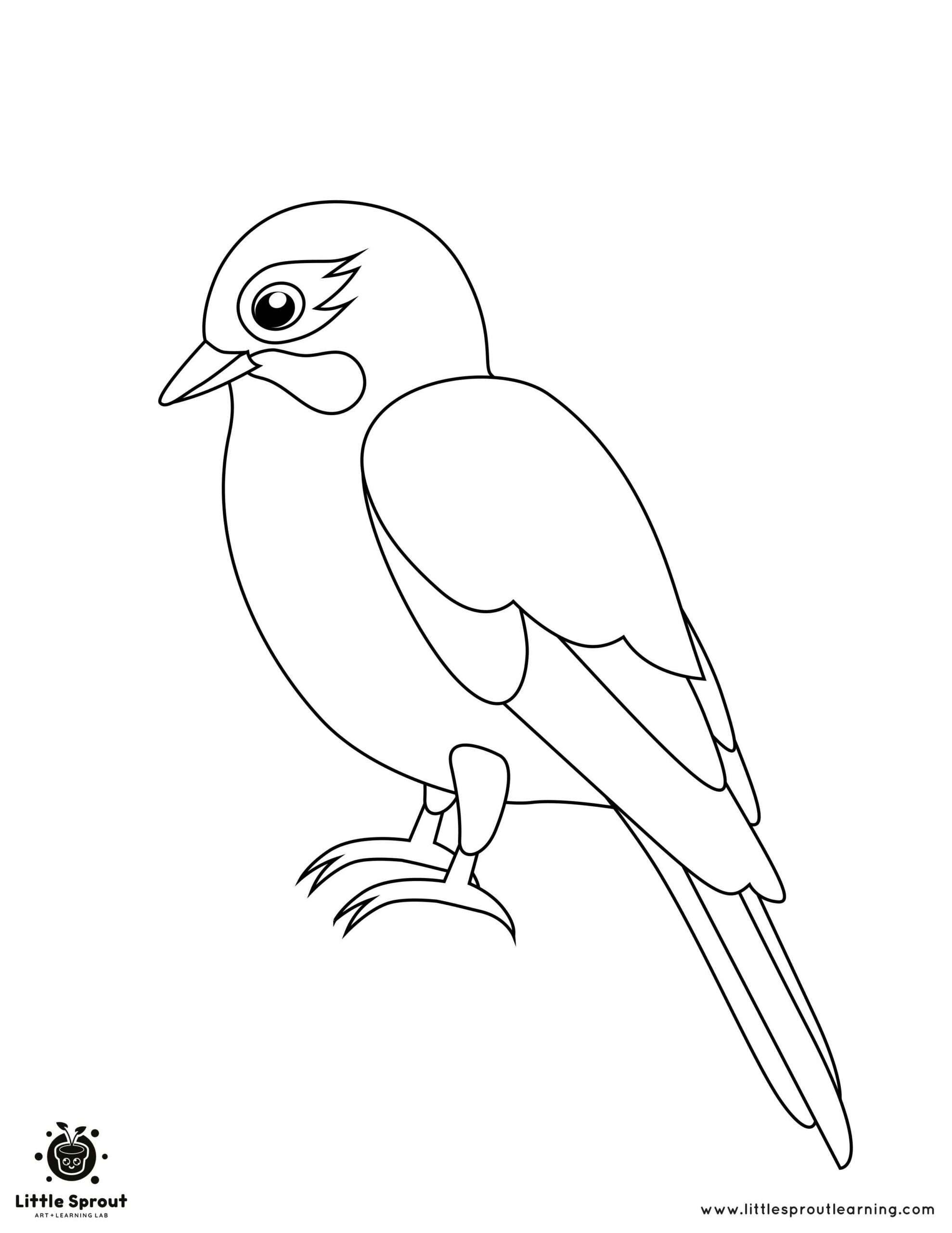 Coloring Pages Birds Printable Coloring Pages Birds Printable