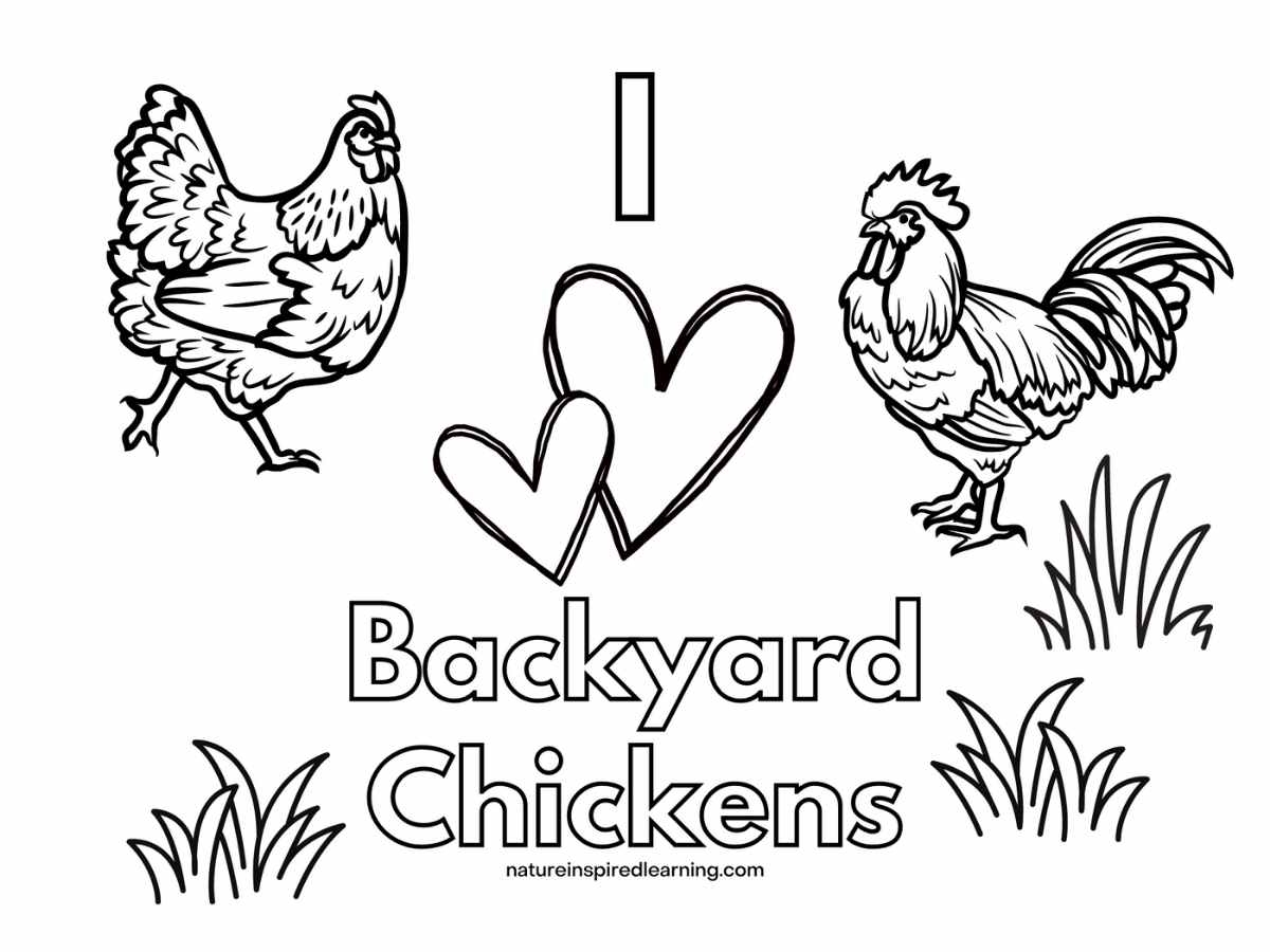 Free Printable Chicken Coloring Pages Free Printable Chicken Coloring Pages