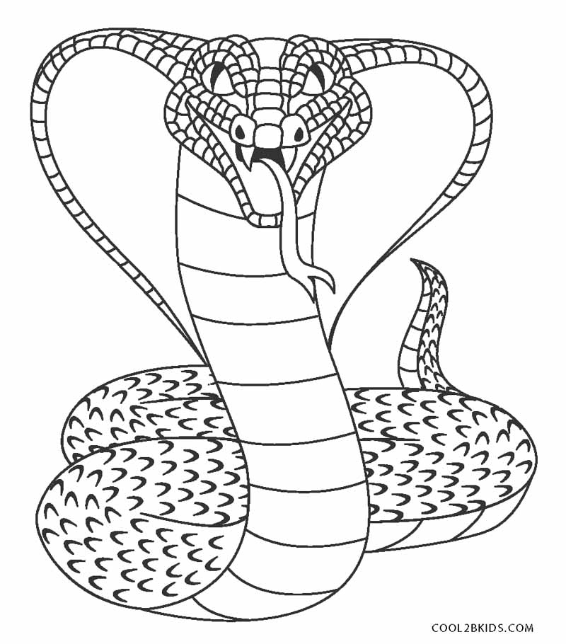 Free Printable Coloring Pages Of Snakes Printable Templates Free Printable Coloring Pages Of Snakes Printable Templates